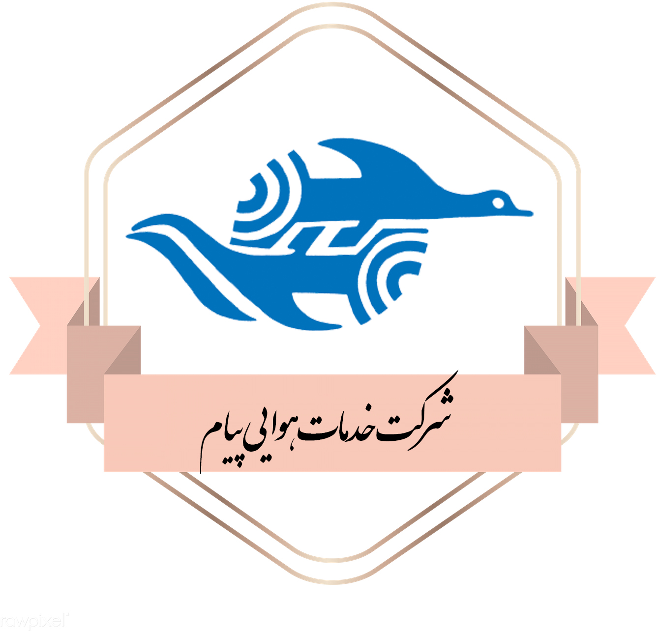 payam air